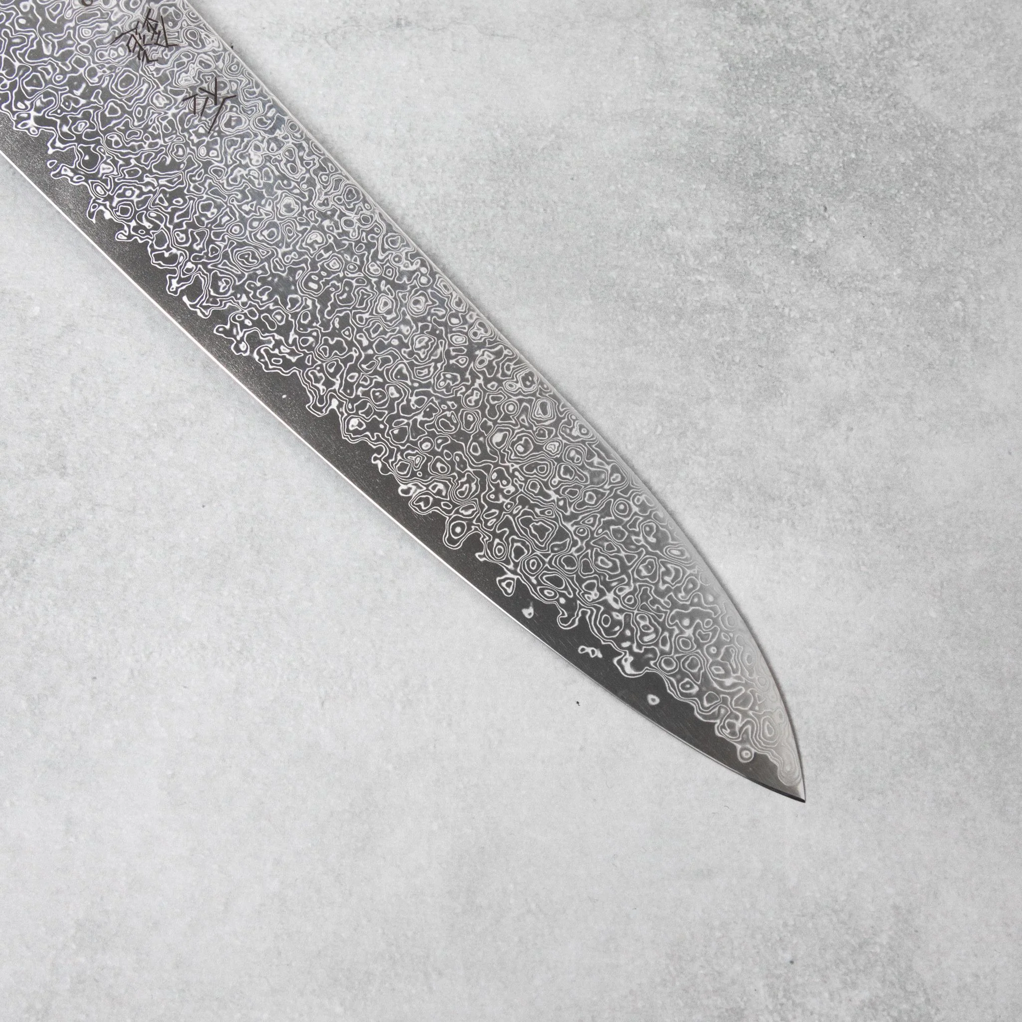 Ishizuchi SG2 Nickel Damascus Chef Knife - Image 3